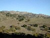 Figueroa Study Area 11-00.jpg